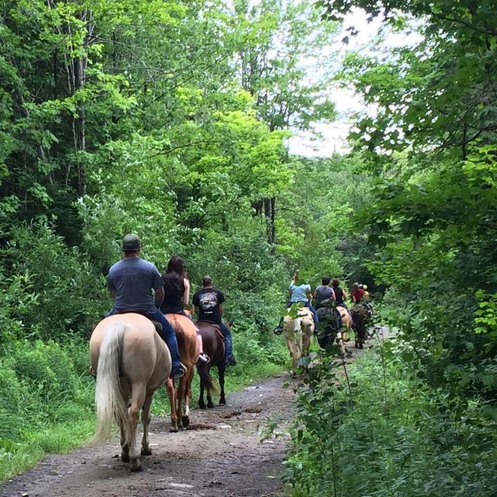 Cours d'équitation