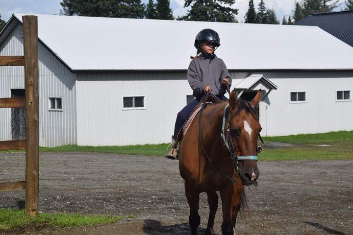 Cours d'équitation Stornoway