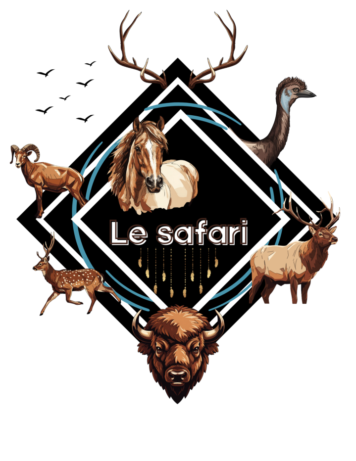 Observation d'animaux Stornoway