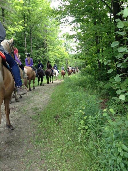 Séjour de formation équestre d'été - Ranch Winslow, Stornoway