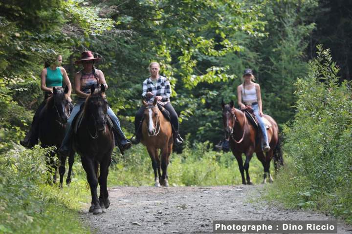 La saison 2025 est officiellement lancée !