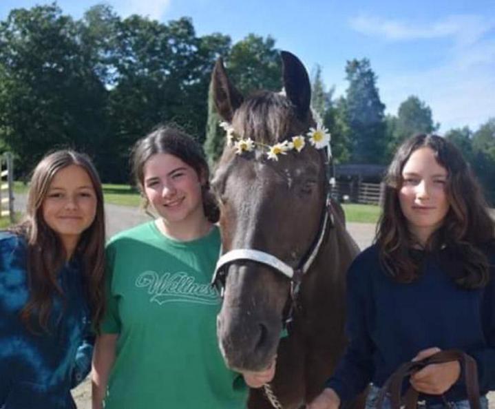2 h de monte à cheval par jour  - Ranch Winslow, Stornoway