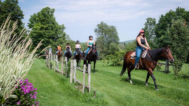 Riding lessons Stornoway