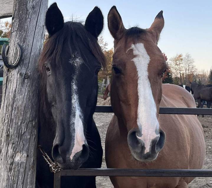 Camp d'équitation Stornoway