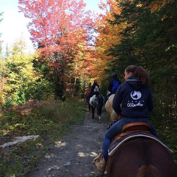 Vacances à cheval pour les novices - Ranch Winslow, Stornoway