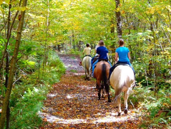 Aventure à cheval pour débutants - Ranch Winslow, Stornoway