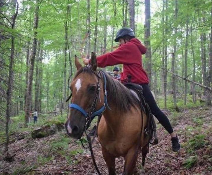 Journée thématiques  - Ranch Winslow, Stornoway