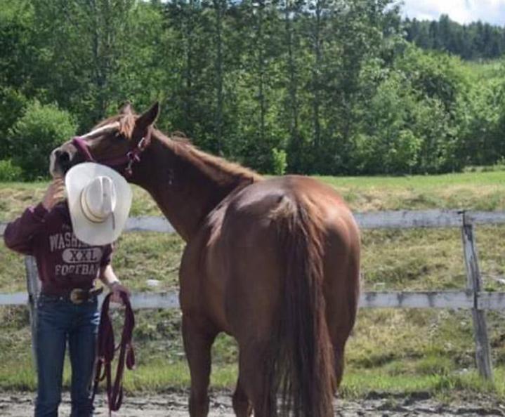 Voltige  - Ranch Winslow, Stornoway