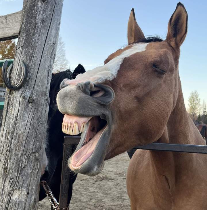 The 2025 season is officially underway!