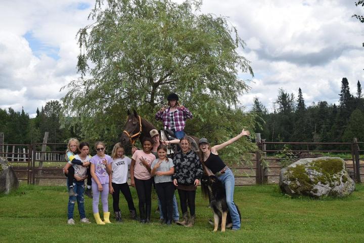 Introduction to Stornoway horses