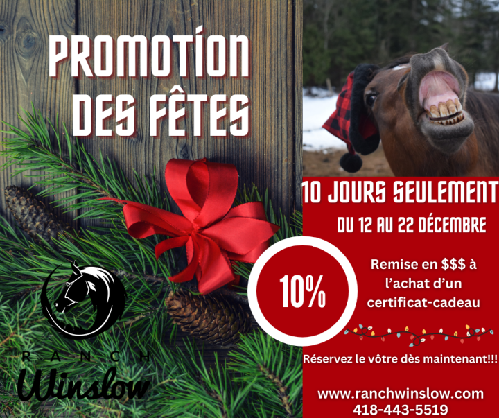 Promo des fêtes 2025