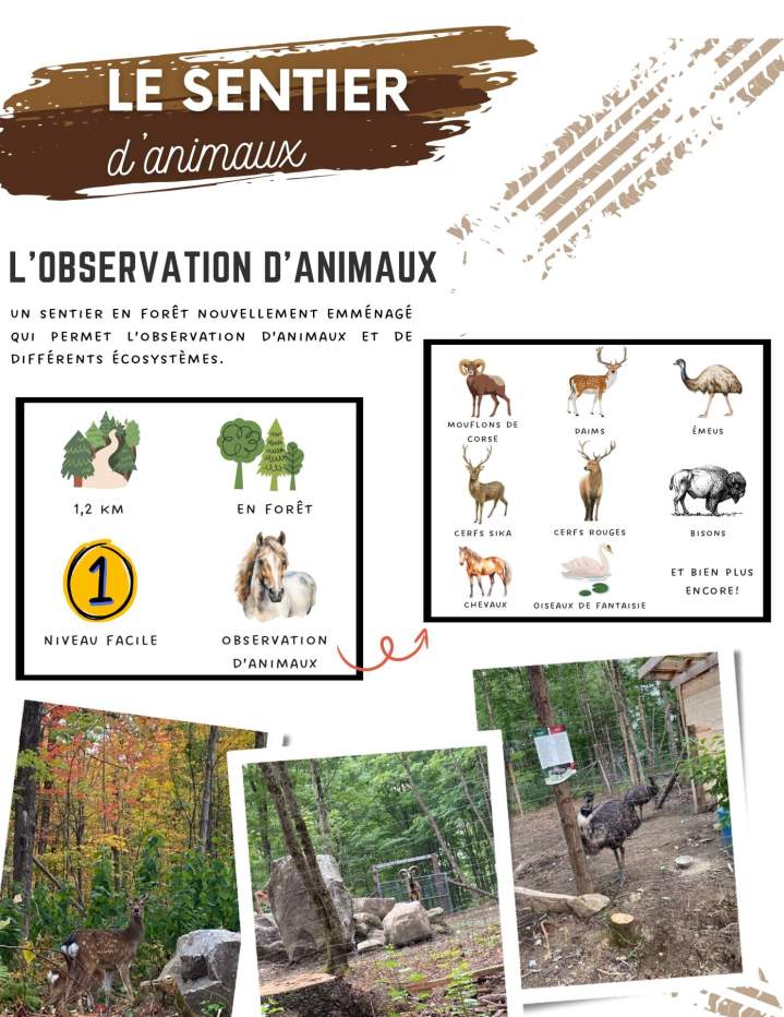 Sortie au Ranch Winslow (1) page 0003