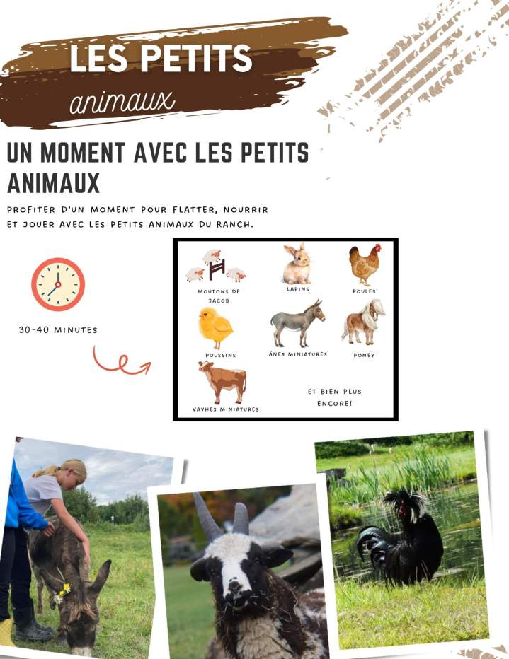 Sortie au Ranch Winslow (1) page 0005