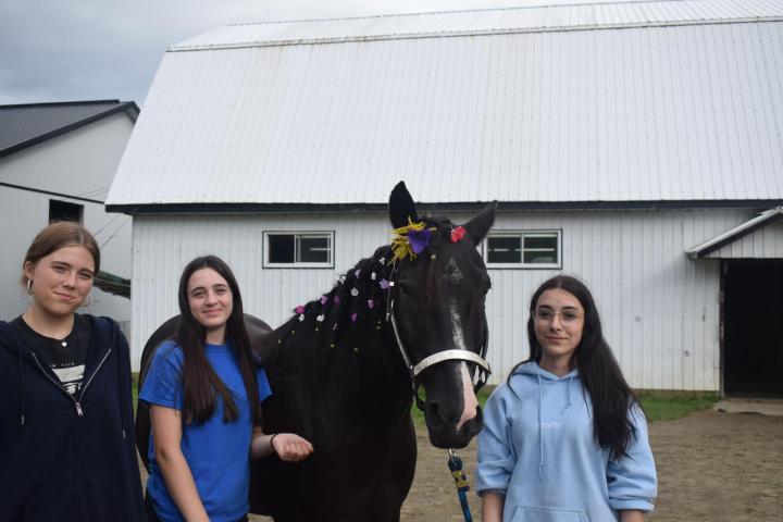 Riding lessons  - Ranch Winslow, Stornoway