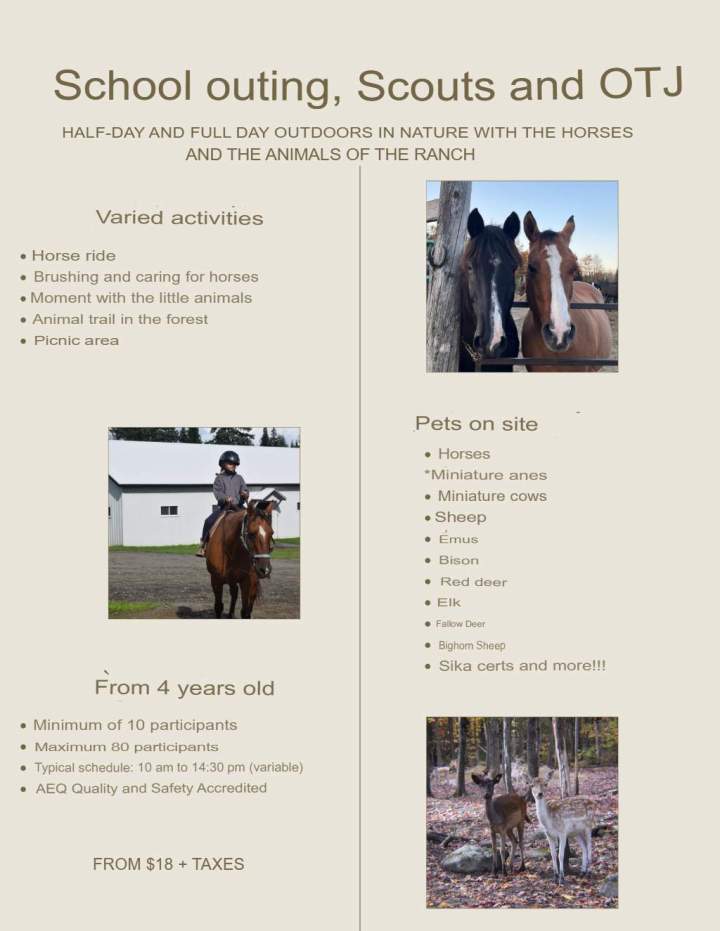 Equestrian stay Stornoway 