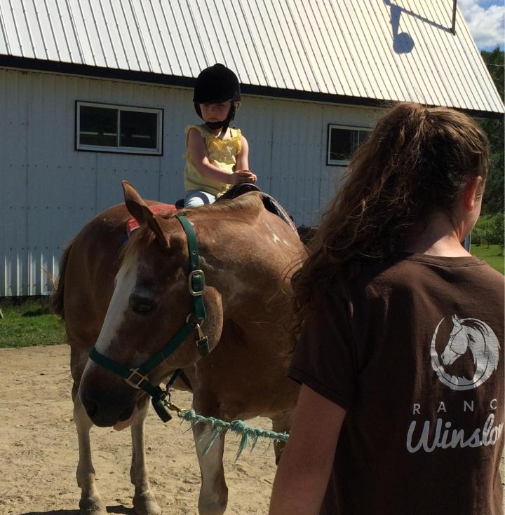 Apprenez les rudiments de l’équitation grâce à plusieurs activités équestres