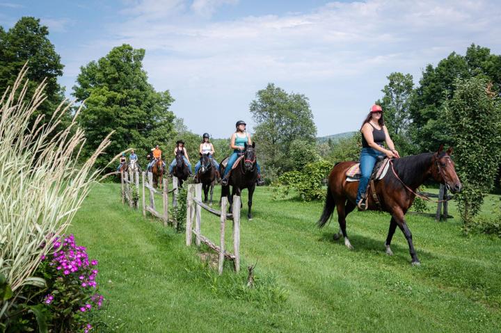 Cours d'équitation Stornoway