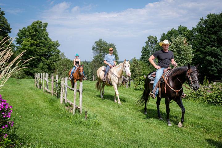 Participez à l’une de nos randonnées équestres pour aller à la découverte de la nature à dos de cheval